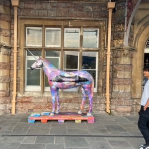 Bristol unicorn Fest
